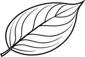 Simple Line Drawing of a Single Leaf Botany, Nature Illustration vector
