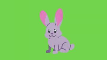 animated rabbit character isolated on green screen background video