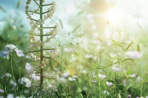 Dna strand growing in a field of flowers symbolizing genetic research photo