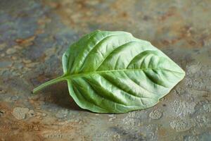 Single fresh green basil leaf resting on rustic metallic surface photo