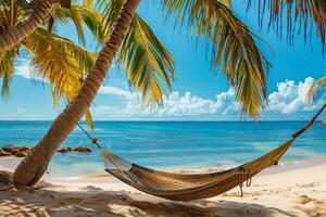 Empty hammock hanging between palm trees on tropical beach photo