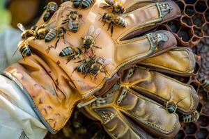 Beekeeper wearing protective gloves covered in bees photo