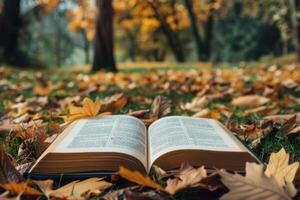 Open book lying on grass covered with autumn leaves in peaceful park photo