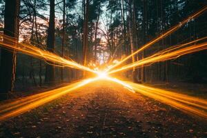 Light trails crossing on a forest path at sunset creating a powerful energy field photo