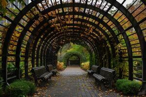 Wooden tunnel covered with autumn leaves leading to green arch in serene garden photo
