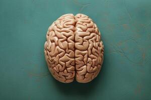 Human brain model resting on a green surface representing intelligence and creativity photo