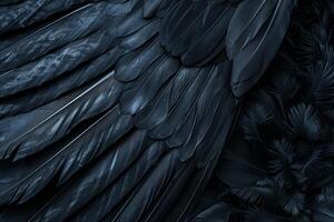 Close up macro view of black feathers creating a moody and textured background photo