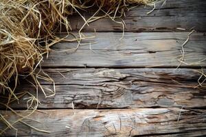 Dry hay covering part of rustic wooden planks background photo