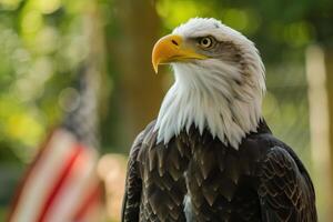 Majestic bald eagle posing with american flag in background photo