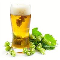 Glass of cold beer with hop cones on white background photo