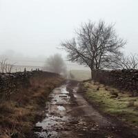 Muddy path leading through stone walls on a foggy day photo