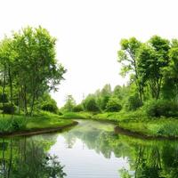 Serene river flowing through a lush green forest photo