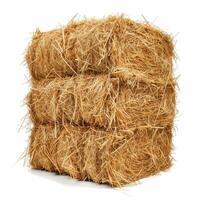 Three rectangular hay bales stacked on top of each other making a large pile photo