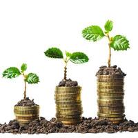 Plants growing on stacks of gold coins symbolizing investment growth photo
