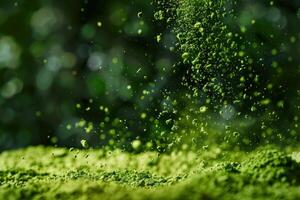 Freeze motion of matcha powder exploding, falling on a pile of matcha on blurry green background photo