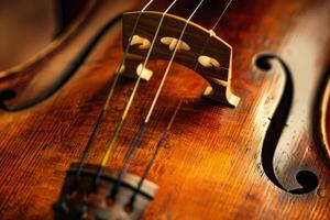 Close up of bridge and strings on an antique cello showing fine craftsmanship photo