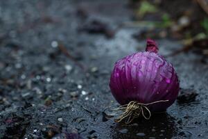 Freshly harvested wet red onion lying on wet soil photo