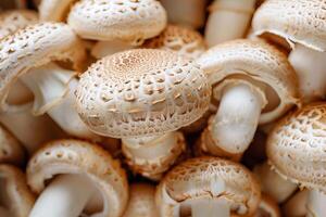 Fresh mushrooms forming an appealing culinary background photo