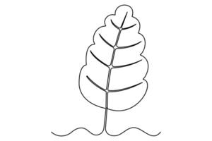 Continuous leaf outline drawing vector