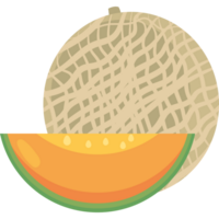 melon fruit icon isolated png
