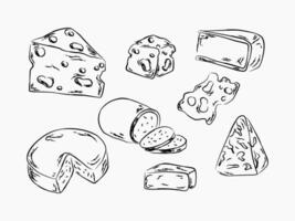 Cheese illustration set in hand-drawn style, black and white sketches of different cheese shapes on white background vector