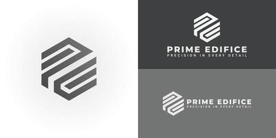 The dynamic logo design features the initials PE creatively integrated within a striking hexagonal shape, creating a unique and visually striking symbol that evokes a sense of structure and precision vector