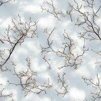 Top view photo of snow with tiny twigs scattered naturally, seamless texture