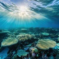 Sunbeams pierce vibrant coral reef underwater scene. photo