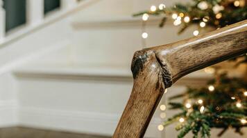 Detailed image of a reindeer's knee, highlighting the rugged texture and strong joint, with a creamy bokeh effect photo