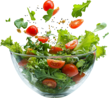 salad with tomatoes and greens in a bowl png