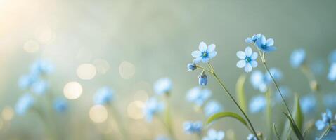 Tranquil Spring Scene with Blue Flowers and Soft Sunlight in Nature Setting photo