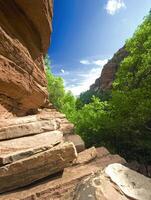 Stone steps leading to a lush green canyon photo