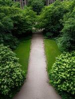 A tranquil pathway winds through a lush green park, offering a serene escape from the urban landscape photo