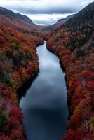 Aerial view of a river flowing through a valley with autumn foliage photo
