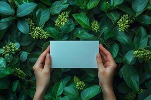 Hands Presenting Blank Paper Amidst Lush Green Leaves - Nature Concept for Design and Print photo