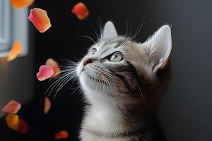 Captivated Kitten Observing Floating Petals in Serene Light photo