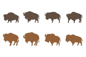 Simple Buffalo Illustration Design Set vector