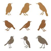 Simple Babbler Bird Illustration Design Set vector