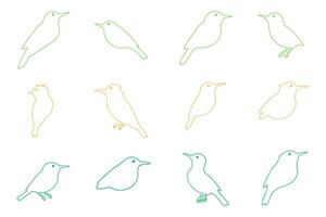 Outline Common Tailorbird Illustration Design Set vector