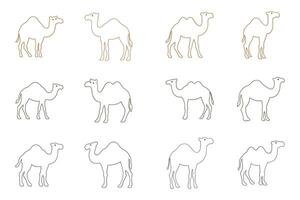 Outline Camel Illustration Design Set vector