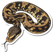 A Striking Image Of A Coastal Carpet Python png