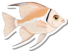 A Detailed Illustration Of A Peach Colored Fish png