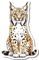 A Sitting Bobcat Displays Its Striking Coat Pattern png