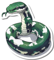 Green and white patterned snake coiled in a circle png