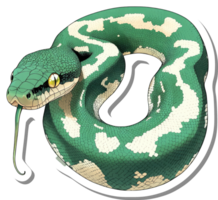 Green Tree Python Coiled in a Relaxed Pose png
