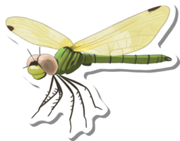 A Green Dragonfly With Pale Yellow Wings In Flight png