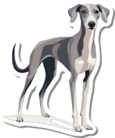 An Italian Greyhound stands gracefully displaying its elegant form png