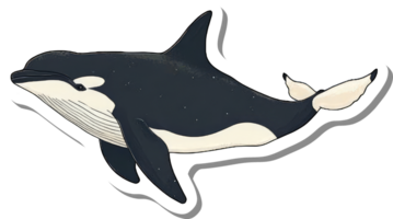 A stylized illustration of a false killer whale png