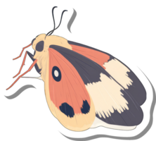 A Colorful Moth with Distinctive Wing Patterns png