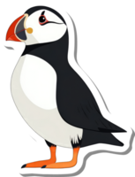 A Colorful Illustration Of An Atlantic Puffin Bird png